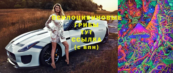ECSTASY Новодвинск