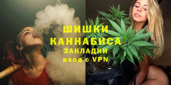молекула духа Новокубанск