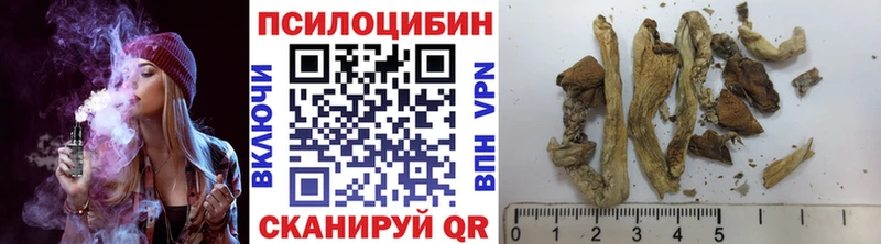 Псилоцибиновые грибы Psilocybine cubensis  Фролово 