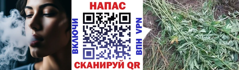 Бошки марихуана MAZAR  дарнет шоп  Фролово 
